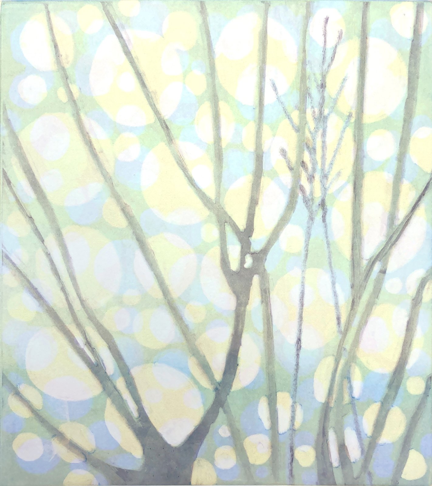 Light Through the Trees