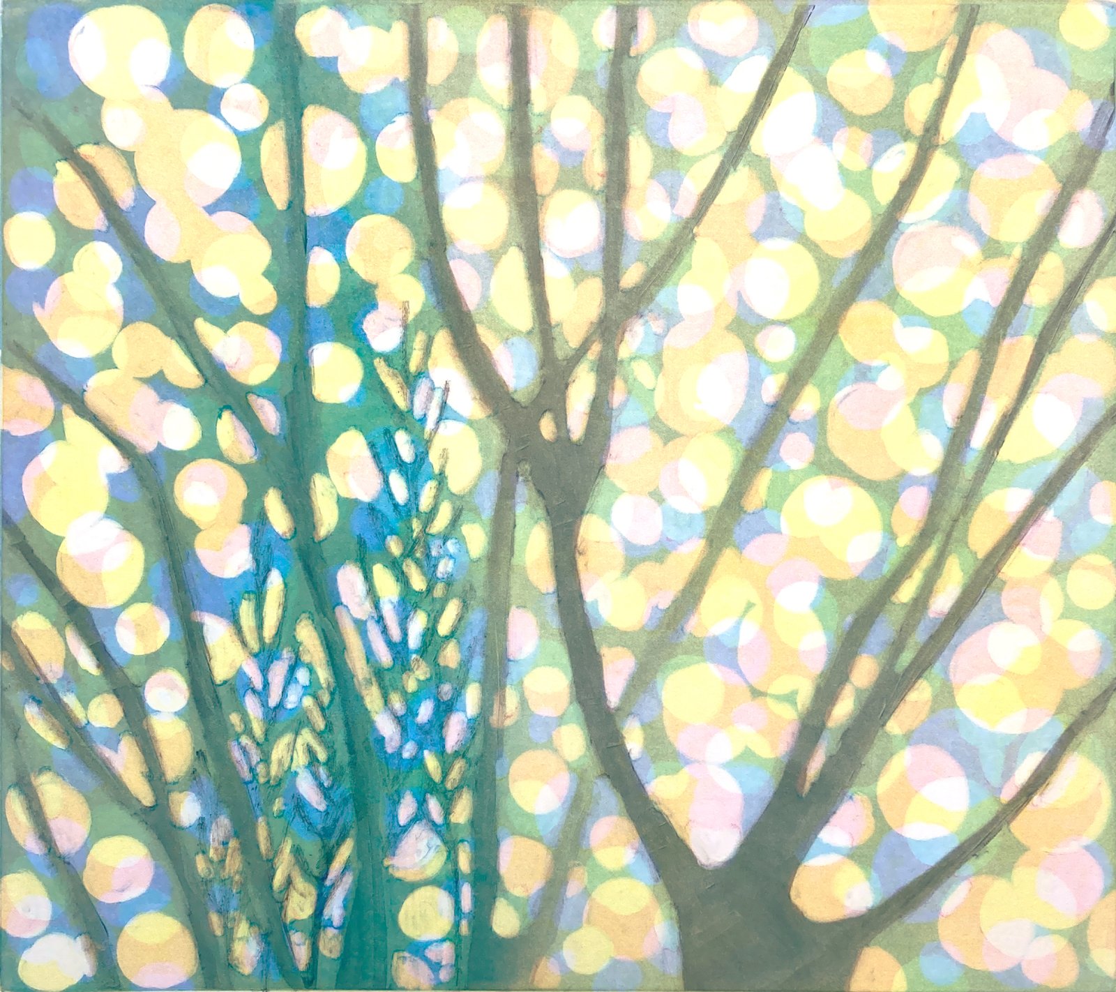 Light and Shadow