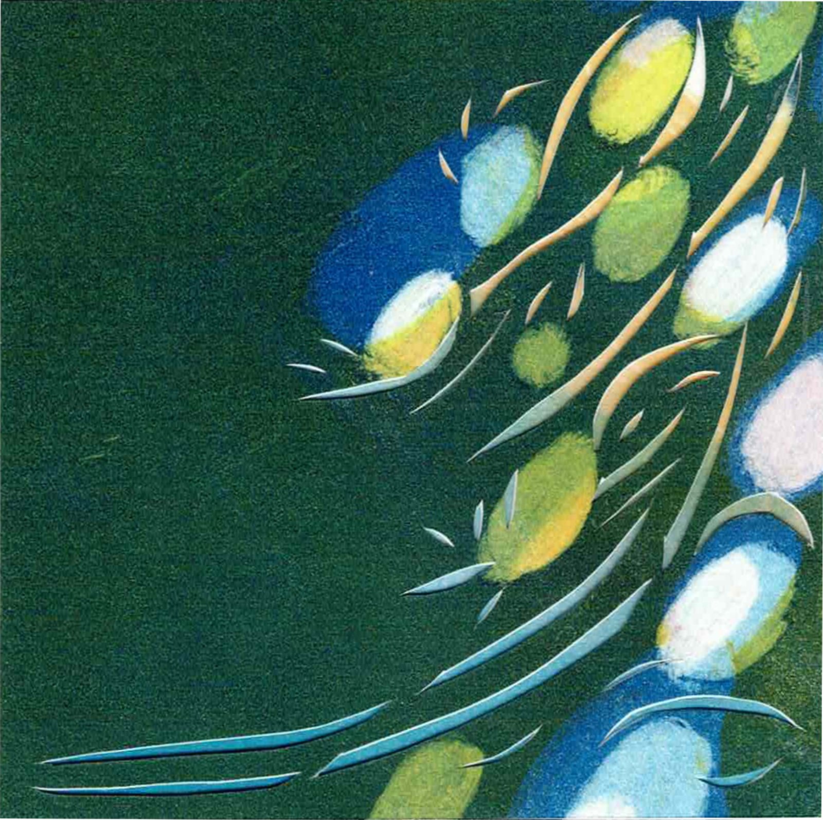 Sprouting from Water